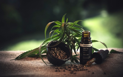 Le CBD : quels sont ses avantages et ses derives ?