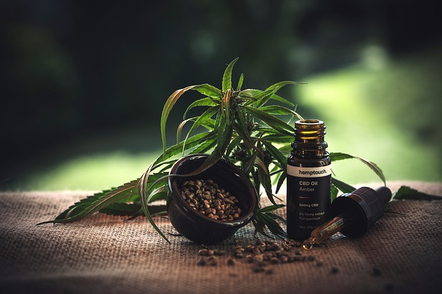 Le CBD : quels sont ses avantages et ses derives ?