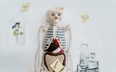 Comment detoxifier organe par organe ?