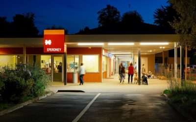 Service d’urgence vétérinaire à Toulouse : Emergence à L’Union